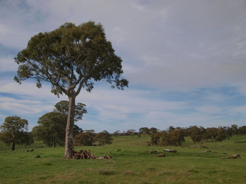 Lot 91 and 92, Woolshed Road, Mount Torrens SA 5244
