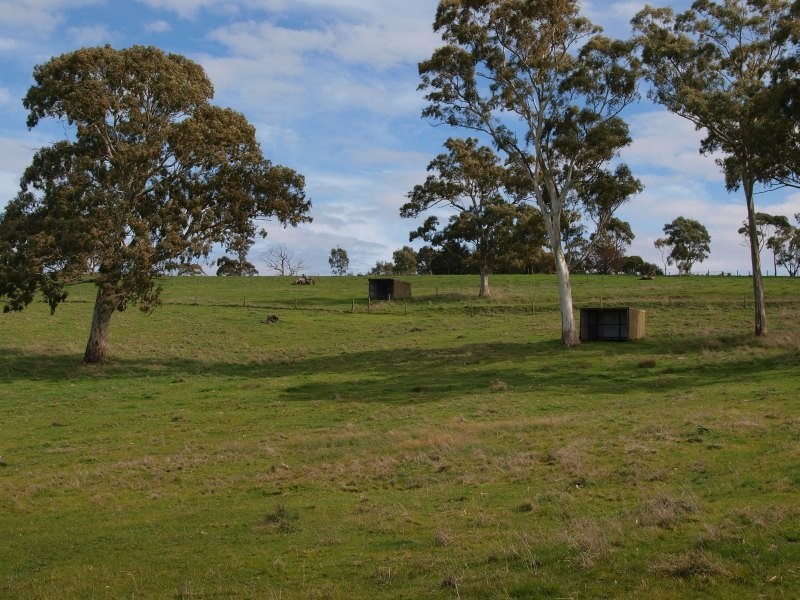 Lot 91 and 92, Woolshed Road, Mount Torrens SA 5244