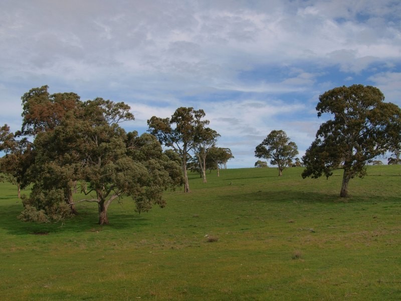 Lot 91 and 92, Woolshed Road, Mount Torrens SA 5244