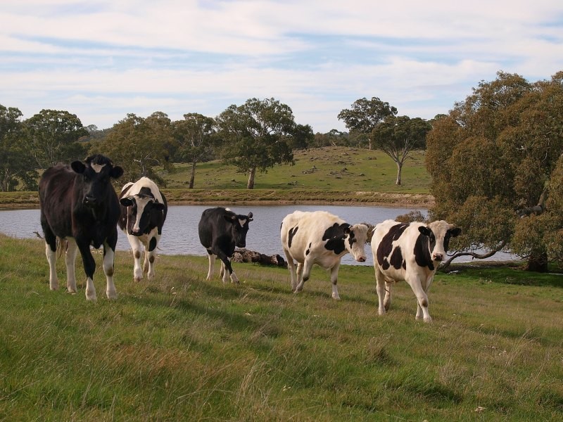Lot 91 and 92, Woolshed Road, Mount Torrens SA 5244