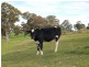 Lot 91 and 92, Woolshed Road, Mount Torrens SA 5244