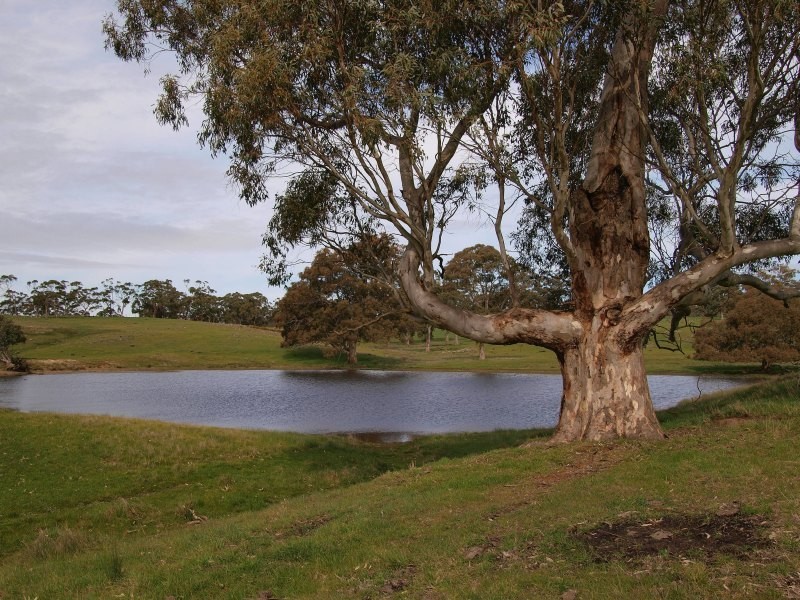Lot 91 and 92, Woolshed Road, Mount Torrens SA 5244