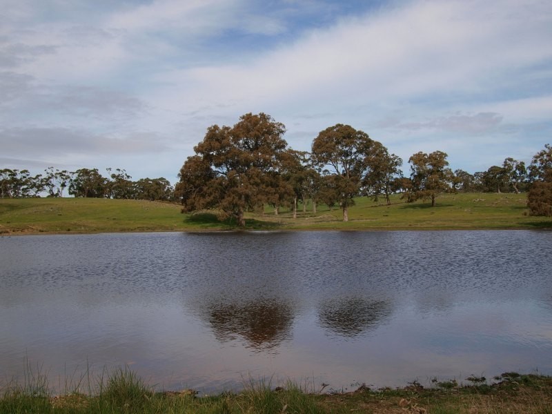 Lot 91 and 92, Woolshed Road, Mount Torrens SA 5244