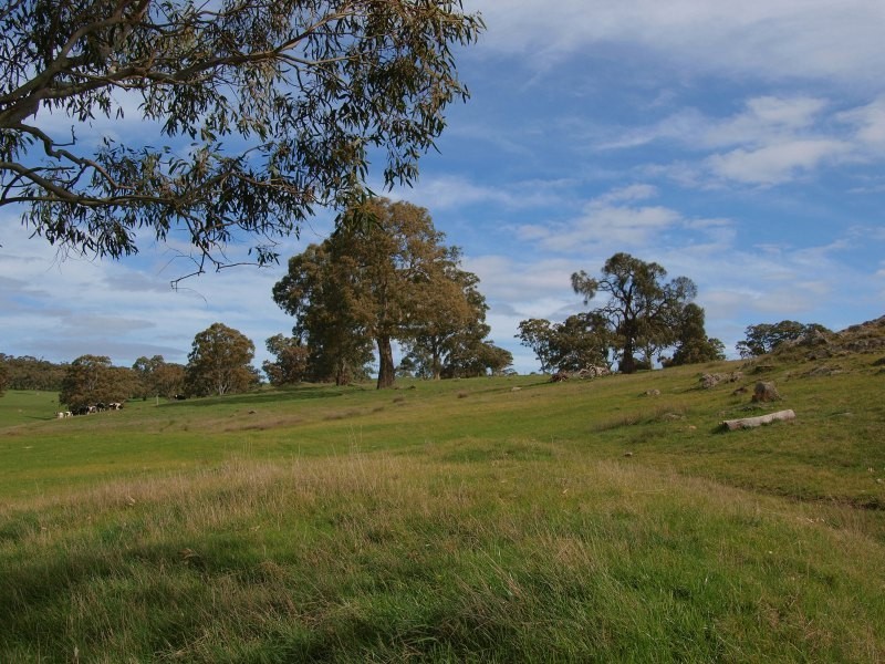 Lot 91 and 92, Woolshed Road, Mount Torrens SA 5244