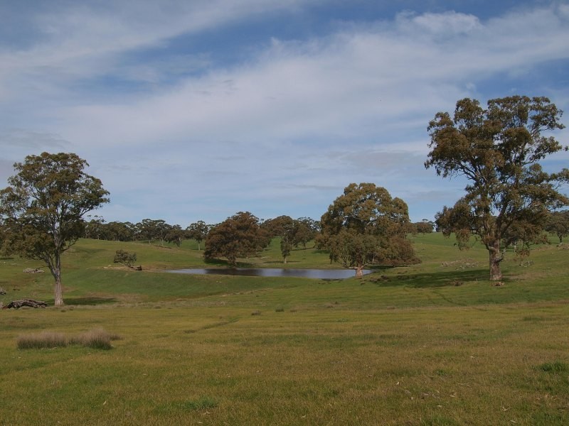 Lot 91 and 92, Woolshed Road, Mount Torrens SA 5244