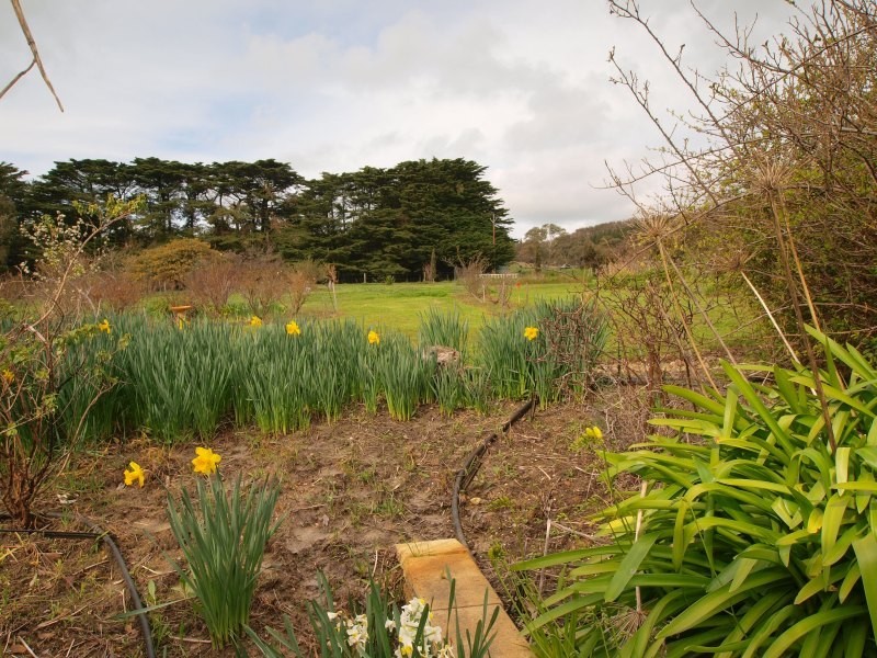 Lot 161 Braendler Road, Echunga SA 5153