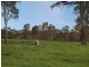 Lot 161 Braendler Road, Echunga SA 5153