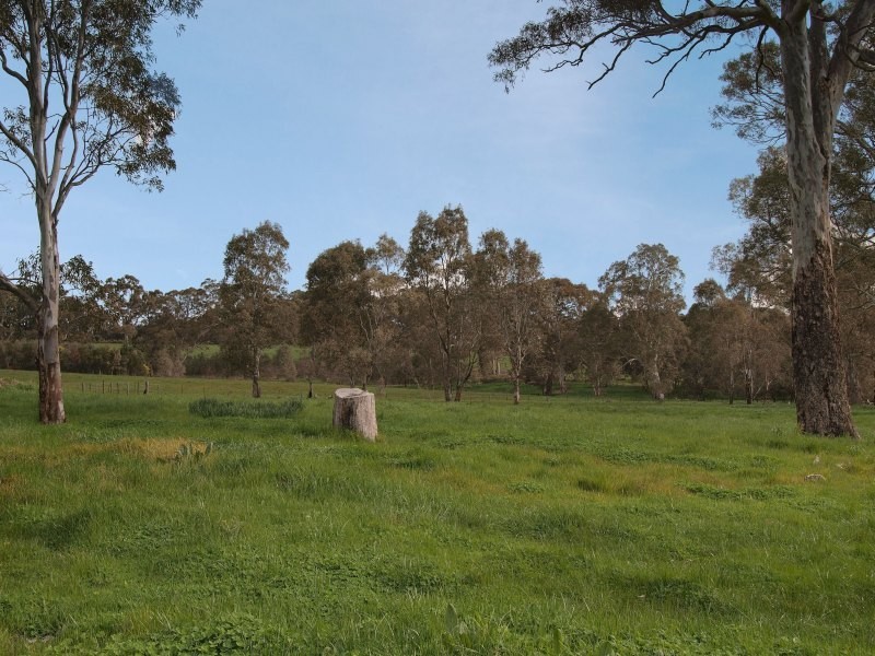 Lot 161 Braendler Road, Echunga SA 5153