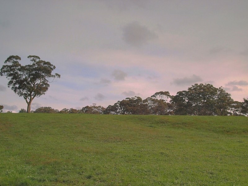 Lot 161 Braendler Road, Echunga SA 5153