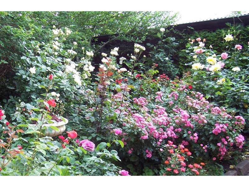 8 Margaret Street, Woodside SA 5244