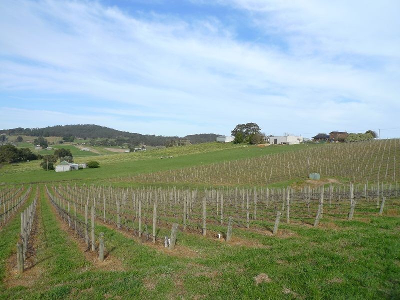 Lot 1 Bonython Road, Summertown SA 5141