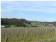 Lot 1 Bonython Road, Summertown SA 5141