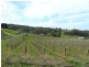 Lot 1 Bonython Road, Summertown SA 5141