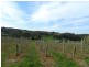 Lot 1 Bonython Road, Summertown SA 5141