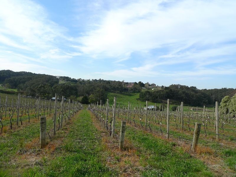 Lot 1 Bonython Road, Summertown SA 5141