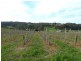 Lot 1 Bonython Road, Summertown SA 5141