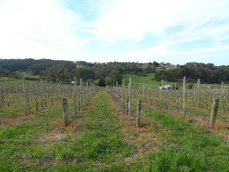 Lot 1 Bonython Road, Summertown SA 5141