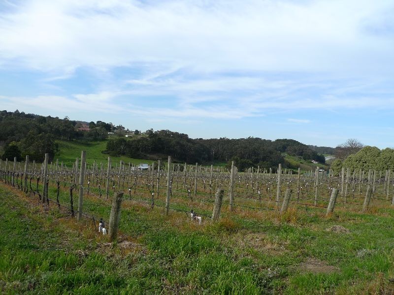 Lot 1 Bonython Road, Summertown SA 5141