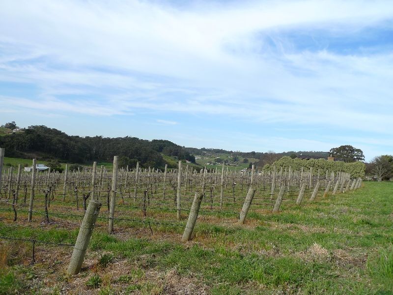 Lot 1 Bonython Road, Summertown SA 5141