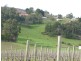 Lot 1 Bonython Road, Summertown SA 5141