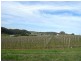 Lot 1 Bonython Road, Summertown SA 5141