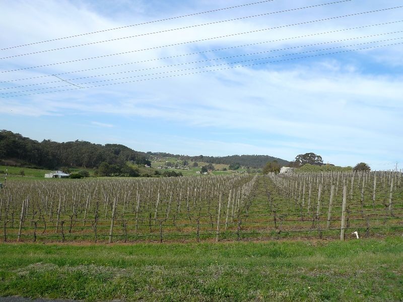 Lot 1 Bonython Road, Summertown SA 5141