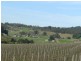 Lot 1 Bonython Road, Summertown SA 5141