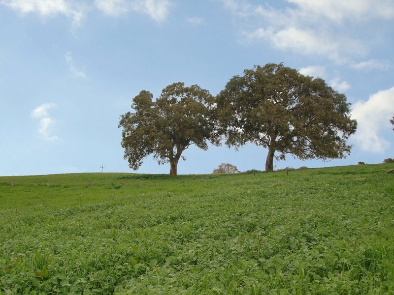 Lot 47 Harrogate Road, Brukunga SA 5252