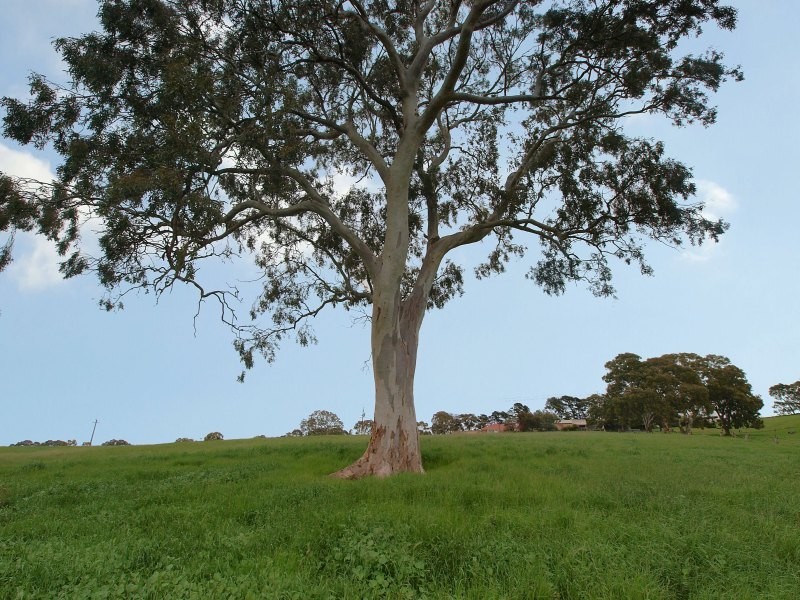 Lot 47 Harrogate Road, Brukunga SA 5252