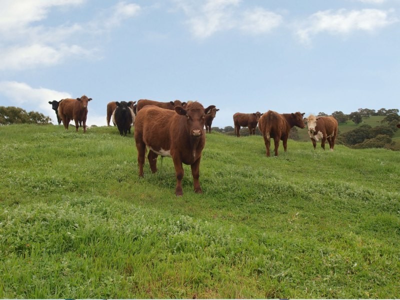 Lot 46 Harrogate Road, Brukunga SA 5252