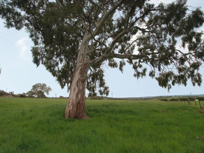 Lot 46 Harrogate Road, Brukunga SA 5252