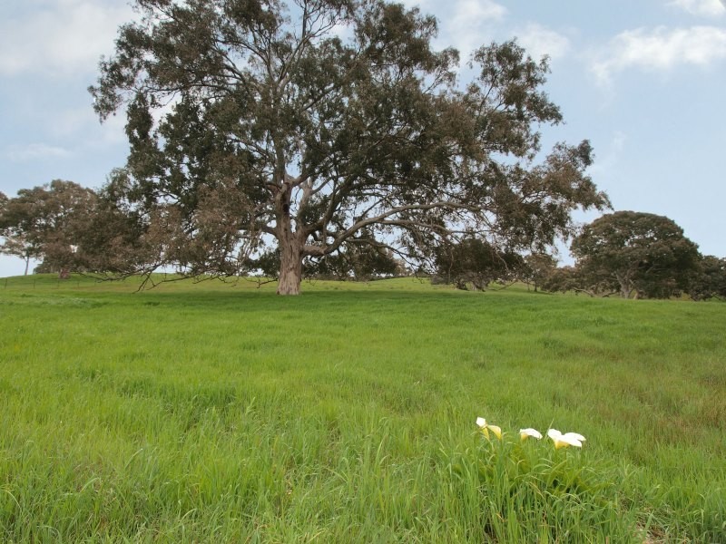 Lot 46 Harrogate Road, Brukunga SA 5252