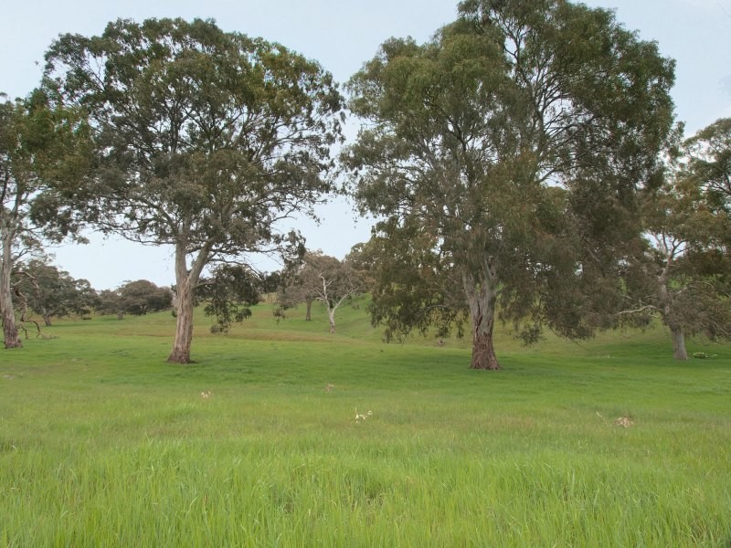 Lot 46 Harrogate Road, Brukunga SA 5252