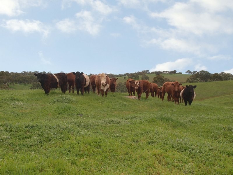 Lot 46 Harrogate Road, Brukunga SA 5252