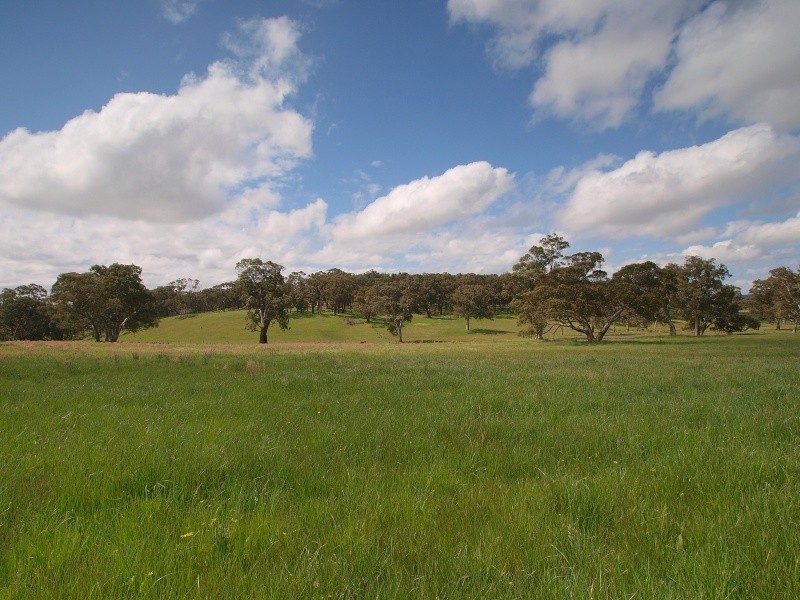 Lot 20 Pottery Road, Kuitpo SA 5172