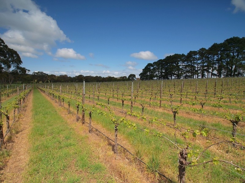 Lot 20 Pottery Road, Kuitpo SA 5172