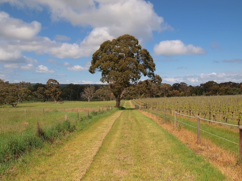 Lot 20 Pottery Road, Kuitpo SA 5172