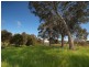 Lot 20 Pottery Road, Kuitpo SA 5172