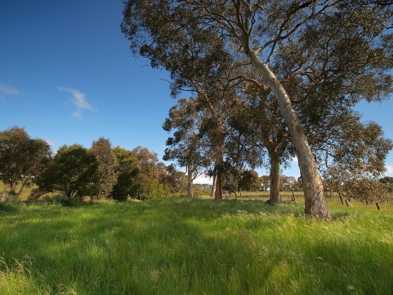 Lot 20 Pottery Road, Kuitpo SA 5172