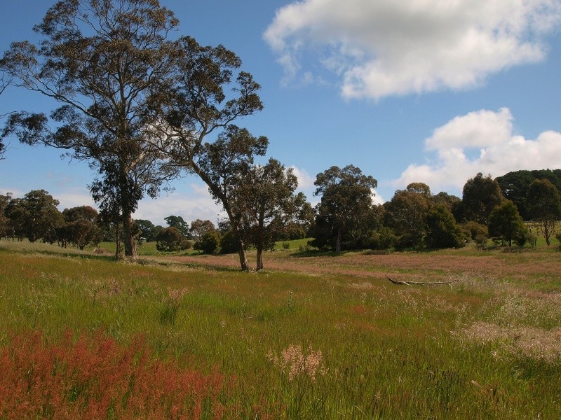 Lot 20 Pottery Road, Kuitpo SA 5172