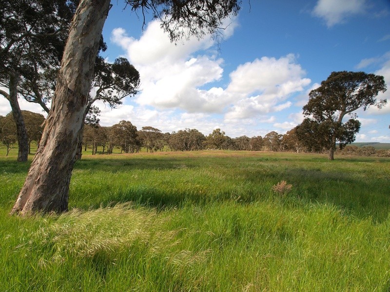 Lot 20 Pottery Road, Kuitpo SA 5172