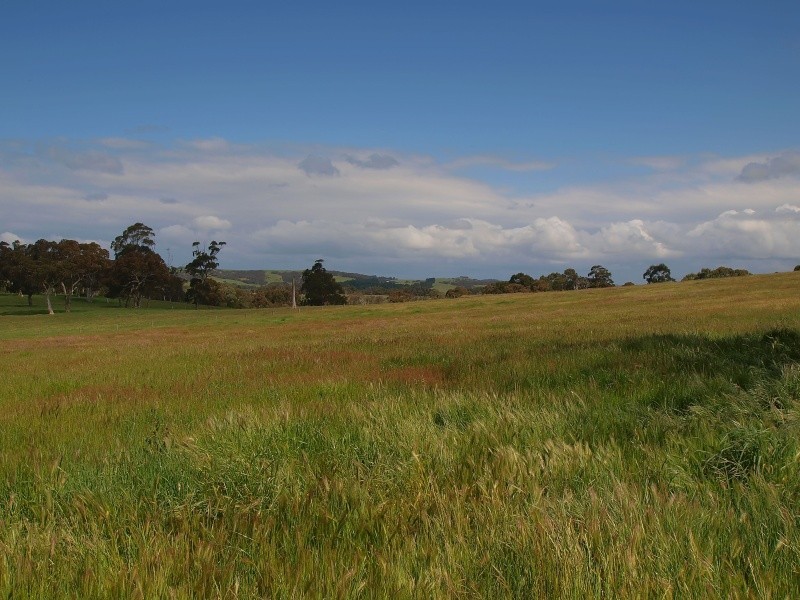 Lot 20 Pottery Road, Kuitpo SA 5172