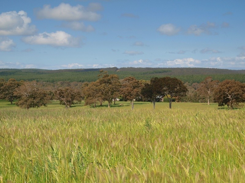 Lot 20 Pottery Road, Kuitpo SA 5172