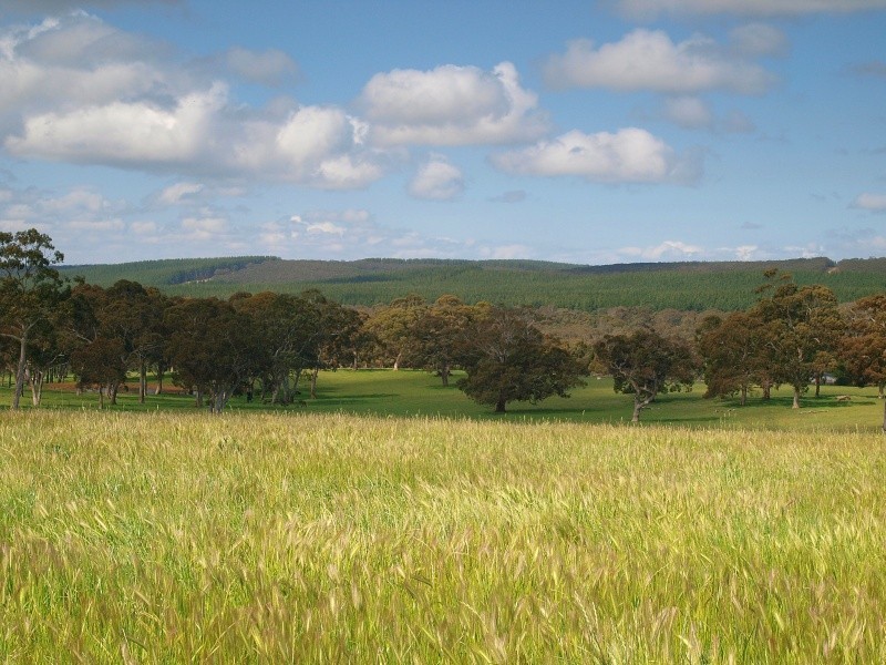 Lot 20 Pottery Road, Kuitpo SA 5172