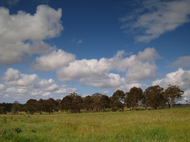 Lot 20 Pottery Road, Kuitpo SA 5172