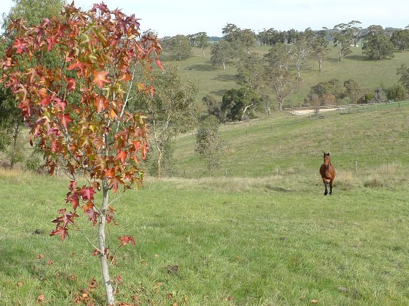 Lot 30 Beasley Road, Oakbank SA 5243