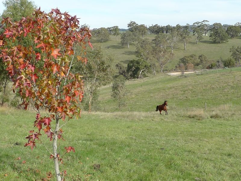 Lot 30 Beasley Road, Oakbank SA 5243