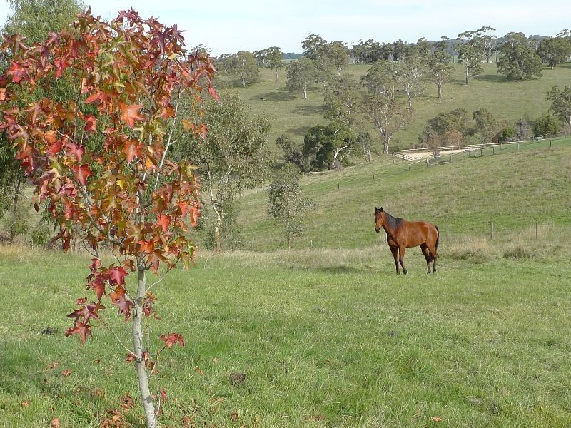 Lot 30 Beasley Road, Oakbank SA 5243