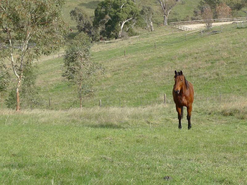 Lot 30 Beasley Road, Oakbank SA 5243