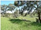 Lot 30 Beasley Road, Oakbank SA 5243